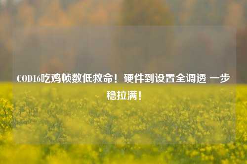 COD16吃鸡帧数低救命!硬件到设置全调透 一步稳拉满!