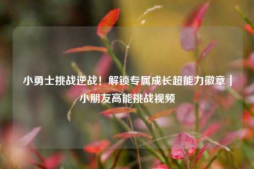小勇士挑战逆战!解锁专属成长超能力徽章|小朋友高能挑战视频