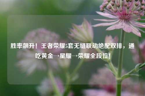 胜率飙升！王者荣耀5套无缝联动绝配双排，通吃黄金→星耀→荣耀全段位！