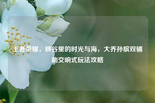 王者荣耀，峡谷里的时光与海，大乔孙膑双辅助交响式玩法攻略