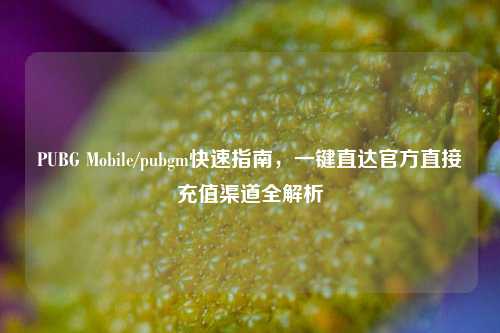 PUBG Mobile/pubgm快速指南,一键直达官方直接充值渠道全解析