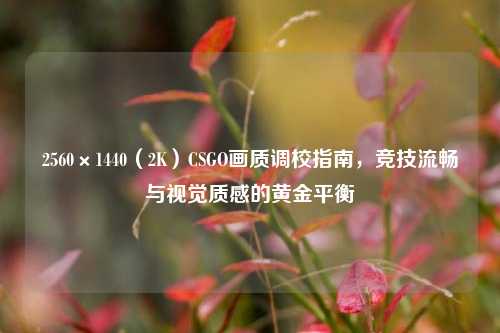 2560×1440(2K)CSGO画质调校指南,竞技流畅与视觉质感的黄金平衡