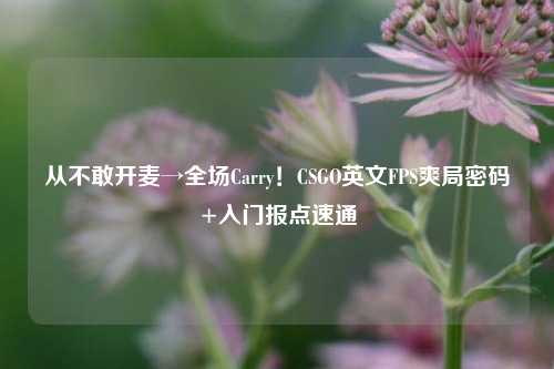 从不敢开麦→全场Carry!CSGO英文FPS爽局密码+入门报点速通