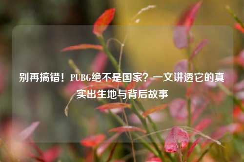 别再搞错！PUBG绝不是国家？一文讲透它的真实出生地与背后故事