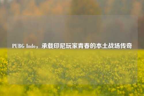 PUBG Indo,承载印尼玩家青春的本土战场传奇
