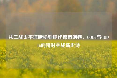从二战太平洋暗堡到现代都市暗巷,COD5与COD16的跨时空战场史诗