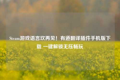Steam游戏语言坎再见!有道翻译插件手机版下载 一键解锁无压畅玩