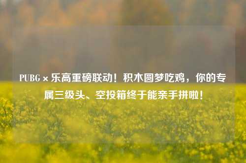 PUBG×乐高重磅联动!积木圆梦吃鸡,你的专属三级头、空投箱终于能亲手拼啦!
