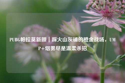 PUBG帕拉莫新颜|踩火山灰铺的橙金战场,UMP+烟雾尽是温柔杀招