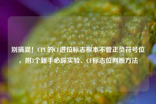 别搞混!CPU的CF进位标志根本不管正负符号位,附3个新手必踩实验、CF标志位判断方法