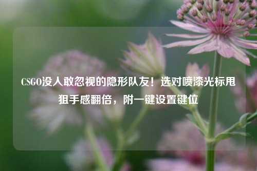 CSGO没人敢忽视的隐形队友!选对喷漆光标甩狙手感翻倍,附一键设置键位