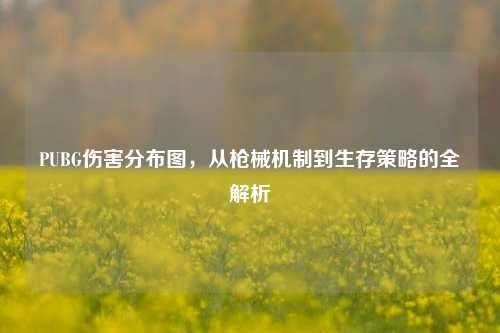 PUBG伤害分布图,从枪械机制到生存策略的全解析