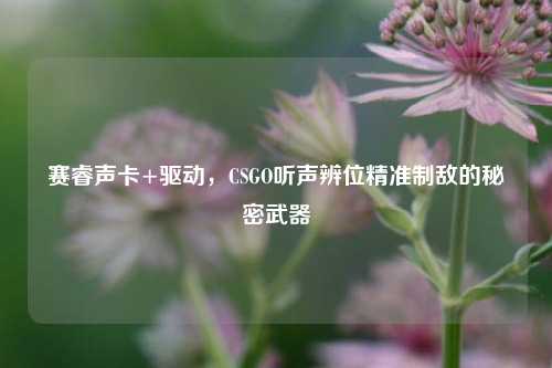 赛睿声卡+驱动,CSGO听声辨位精准制敌的秘密武器