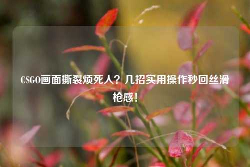 CSGO画面撕裂烦死人？几招实用操作秒回丝滑枪感！