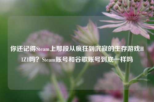 你还记得Steam上那段从疯狂到沉寂的生存游戏H1Z1吗?Steam账号和谷歌账号到底一样吗