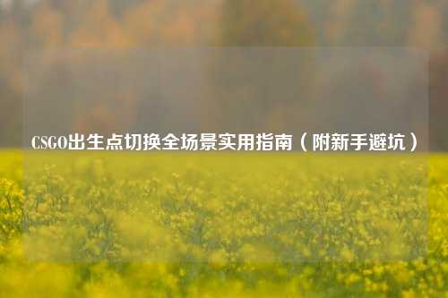 CSGO出生点切换全场景实用指南（附新手避坑）