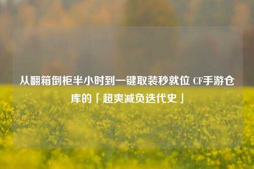从翻箱倒柜半小时到一键取装秒就位 CF手游仓库的「超爽减负迭代史」