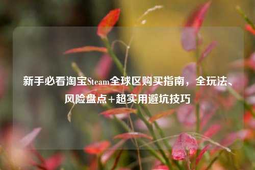 新手必看淘宝Steam全球区购买指南,全玩法、风险盘点+超实用避坑技巧
