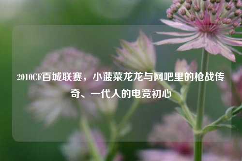 2010CF百城联赛,小菠菜龙龙与网吧里的枪战传奇、一代人的电竞初心