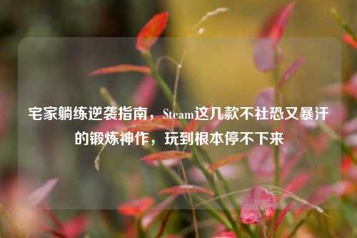 宅家躺练逆袭指南,Steam这几款不社恐又暴汗的锻炼神作,玩到根本停不下来