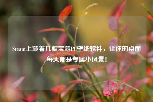 Steam上藏着几款宝藏PC壁纸软件,让你的桌面每天都是专属小风景!