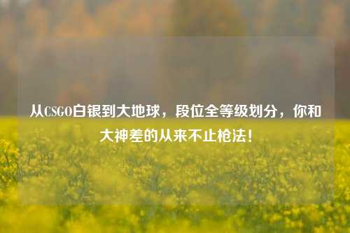 从CSGO白银到大地球,段位全等级划分,你和大神差的从来不止枪法!
