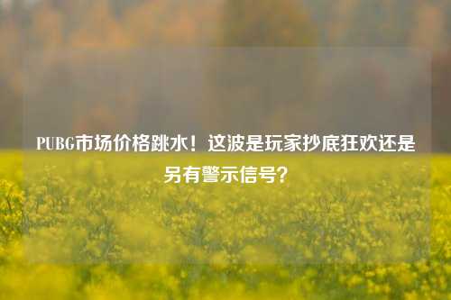PUBG市场价格跳水！这波是玩家抄底狂欢还是另有警示信号？