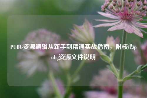 PUBG资源编辑从新手到精通实战指南,附核心pubg资源文件说明