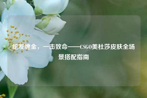 蛇发缠金,一击致命——CSGO美杜莎皮肤全场景搭配指南