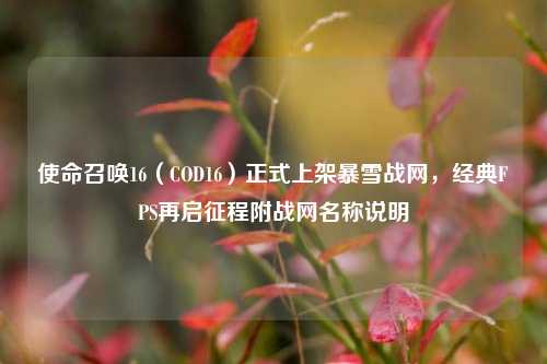 使命召唤16（COD16）正式上架暴雪战网，经典FPS再启征程附战网名称说明