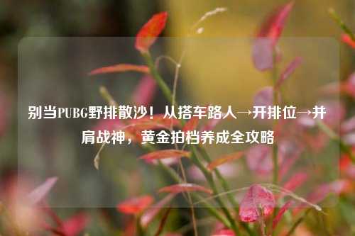 别当PUBG野排散沙!从搭车路人→开排位→并肩战神,黄金拍档养成全攻略