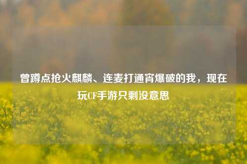 曾蹲点抢火麒麟、连麦打通宵爆破的我，现在玩CF手游只剩没意思