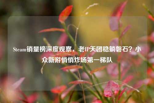 Steam销量榜深度观察,老IP天团稳躺磐石?小众新游悄悄炸场第一梯队