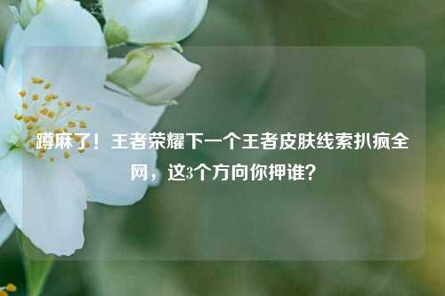 蹲麻了!王者荣耀下一个王者皮肤线索扒疯全网,这3个方向你押谁?