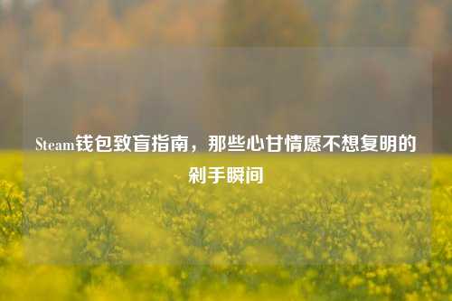 Steam钱包致盲指南，那些心甘情愿不想复明的剁手瞬间