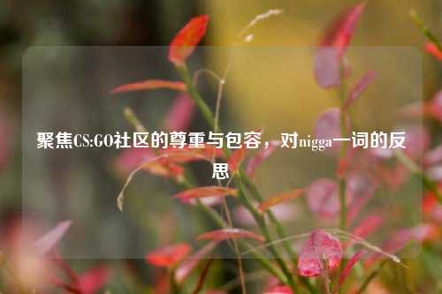 聚焦CS:GO社区的尊重与包容,对nigga一词的反思