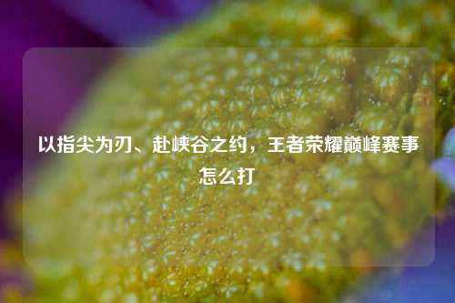 以指尖为刃、赴峡谷之约，王者荣耀巅峰赛事怎么打