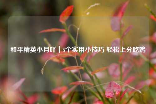 和平精英小月吖｜5个实用小技巧 轻松上分吃鸡