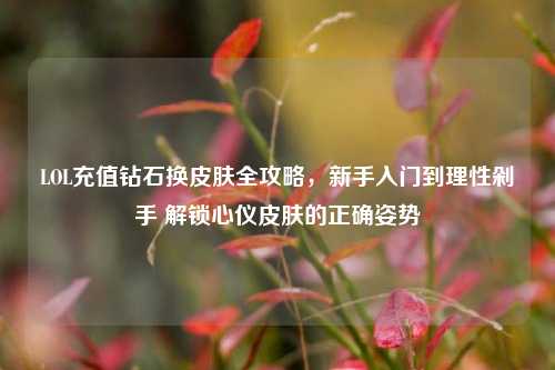 LOL充值钻石换皮肤全攻略，新手入门到理性剁手 解锁心仪皮肤的正确姿势
