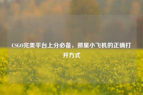 CSGO完美平台上分必备,微星小飞机的正确打开方式