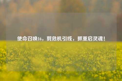 使命召唤16，剪危机引线，抓重启灵魂！
