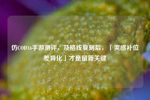 仿COD16手游测评,及格线复刻后,「爽感补位差异化」才是留新关键