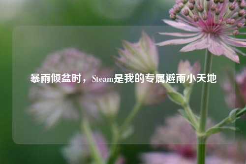 暴雨倾盆时，Steam是我的专属避雨小天地