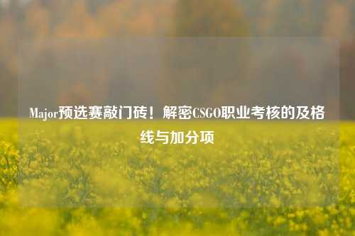 Major预选赛敲门砖!解密CSGO职业考核的及格线与加分项