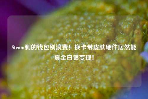 Steam剩的钱包别浪费!换卡带皮肤硬件居然能真金白银变现!