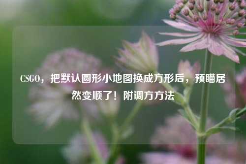 CSGO，把默认圆形小地图换成方形后，预瞄居然变顺了！附调方方法