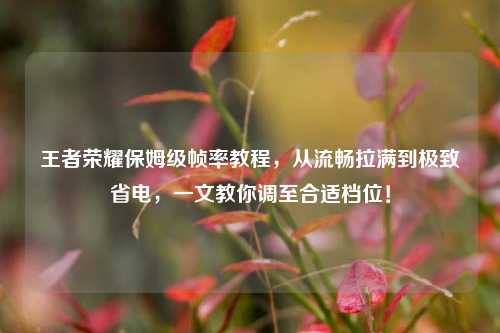 王者荣耀保姆级帧率教程，从流畅拉满到极致省电，一文教你调至合适档位！