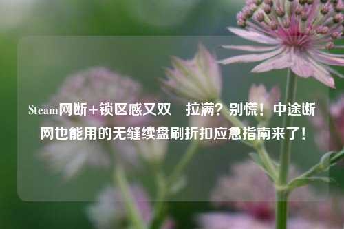 Steam网断+锁区感又双叒拉满？别慌！中途断网也能用的无缝续盘刷折扣应急指南来了！