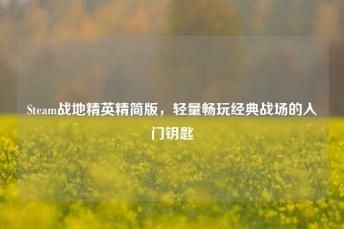 Steam战地精英精简版,轻量畅玩经典战场的入门钥匙