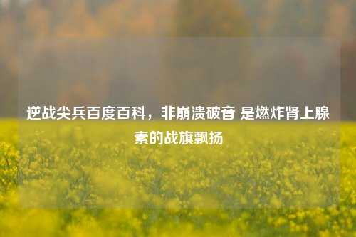 逆战尖兵百度百科,非崩溃破音 是燃炸肾上腺素的战旗飘扬